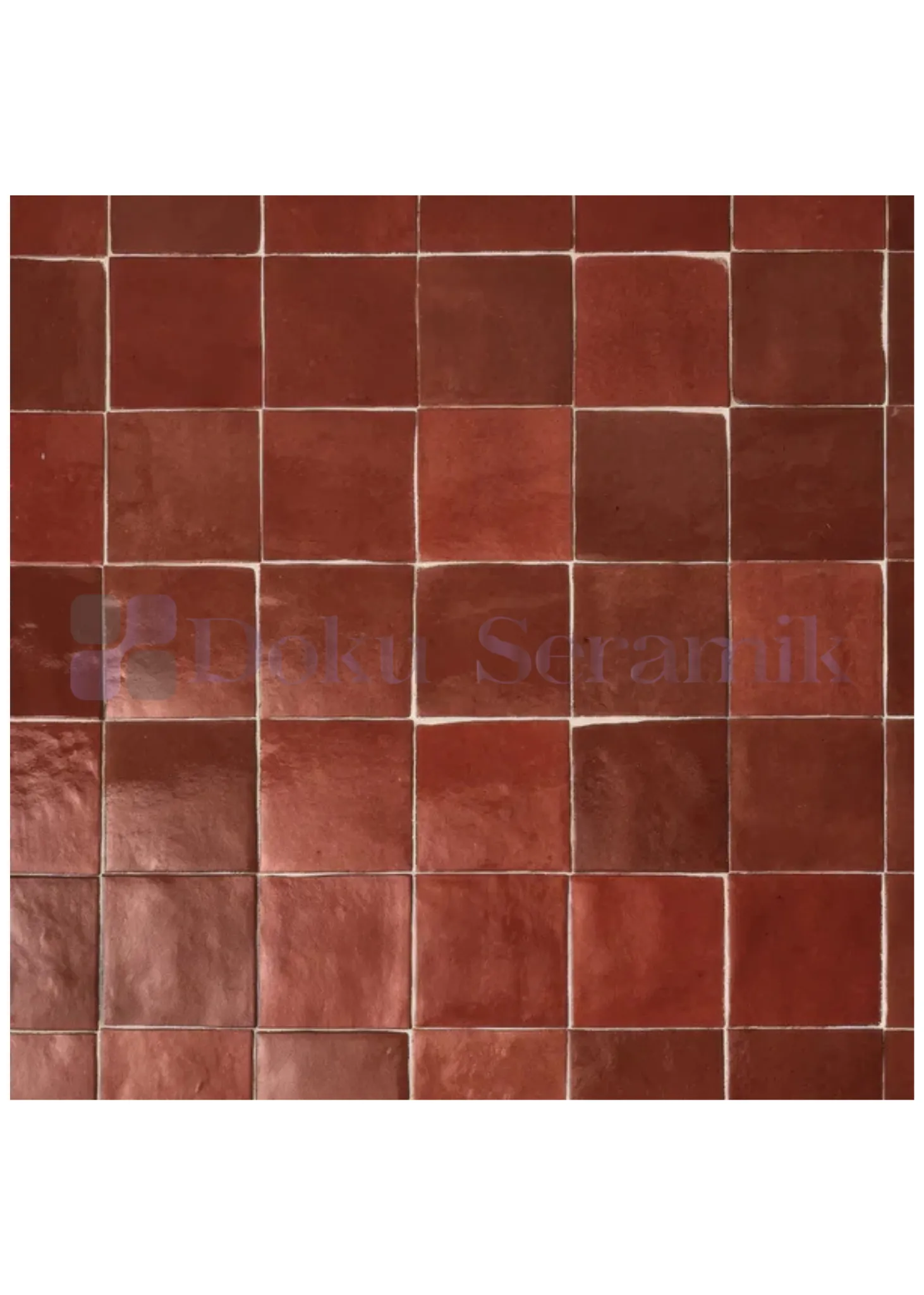 10x10 Seramik Karo-30- Seramik Karo Terracotta Vişne Çürüğü 10x10